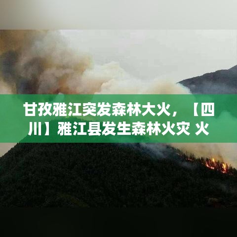 甘孜雅江突發(fā)森林大火，【四川】雅江縣發(fā)生森林火災(zāi) 火場(chǎng)海拔3800米 國(guó) 