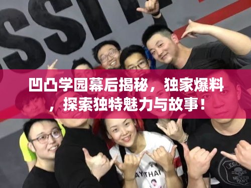 凹凸學園幕后揭秘，獨家爆料，探索獨特魅力與故事！