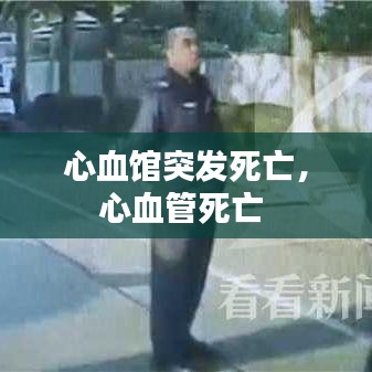 心血館突發(fā)死亡，心血管死亡 