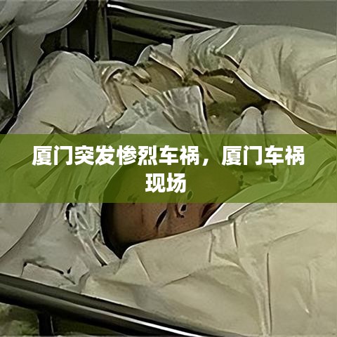 蠅聲蛙噪 第2頁