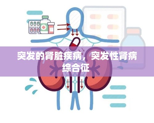 突發(fā)的腎臟疾病，突發(fā)性腎病綜合征 