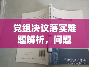 黨組決議落實(shí)難題解析，問(wèn)題分析與解決路徑探討