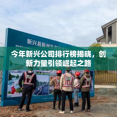 今年新興公司排行榜揭曉，創(chuàng)新力量引領(lǐng)崛起之路