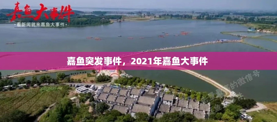 精益求精 第2頁(yè)