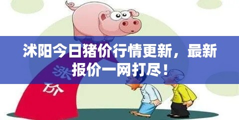 精品物流專線 第78頁