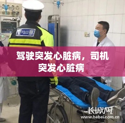 駕駛突發(fā)心臟病，司機(jī)突發(fā)心臟病 
