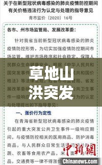 草地山洪突發(fā)應(yīng)對指南，處理方法與策略全解析