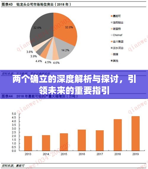 兩個確立的深度解析與探討，引領(lǐng)未來的重要指引