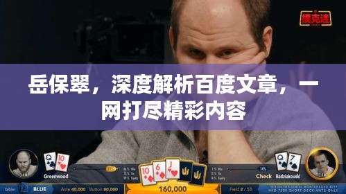 岳保翠，深度解析百度文章，一網(wǎng)打盡精彩內(nèi)容