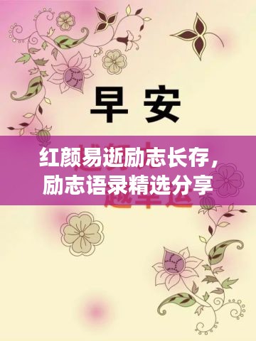 紅顏易逝勵志長存，勵志語錄精選分享