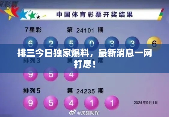 排三今日獨家爆料，最新消息一網(wǎng)打盡！