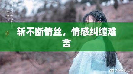 斬不斷情絲，情感糾纏難舍