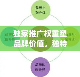 獨家推廣權(quán)重塑品牌價值，獨特優(yōu)勢引領(lǐng)市場增長