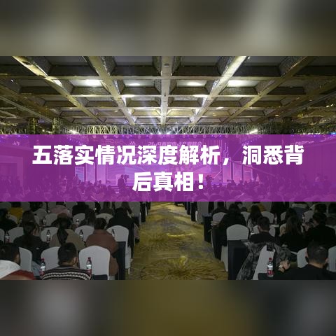 五落實情況深度解析，洞悉背后真相！