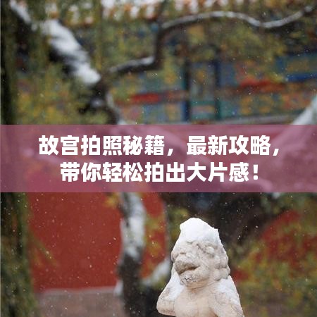 故宮拍照秘籍，最新攻略，帶你輕松拍出大片感！