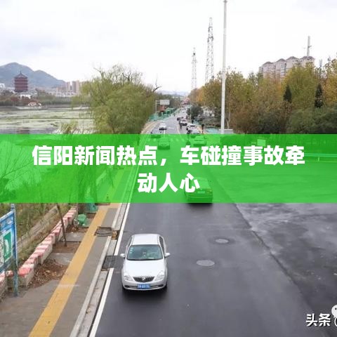 信陽新聞熱點(diǎn)，車碰撞事故牽動人心
