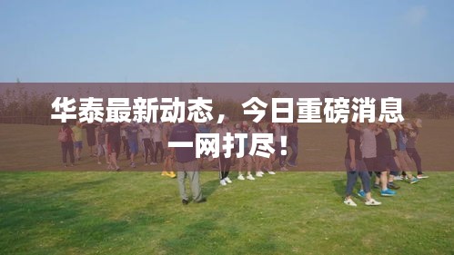 華泰最新動態(tài)，今日重磅消息一網(wǎng)打盡！
