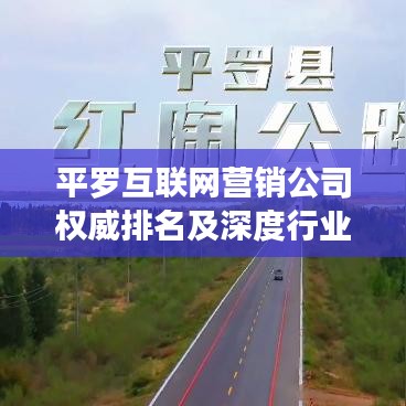 平羅互聯(lián)網(wǎng)營銷公司權(quán)威排名及深度行業(yè)分析