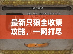 最新只狼全收集攻略，一網(wǎng)打盡所有秘籍！