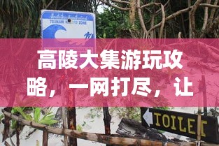 高陵大集游玩攻略，一網打盡，讓你玩得盡興！