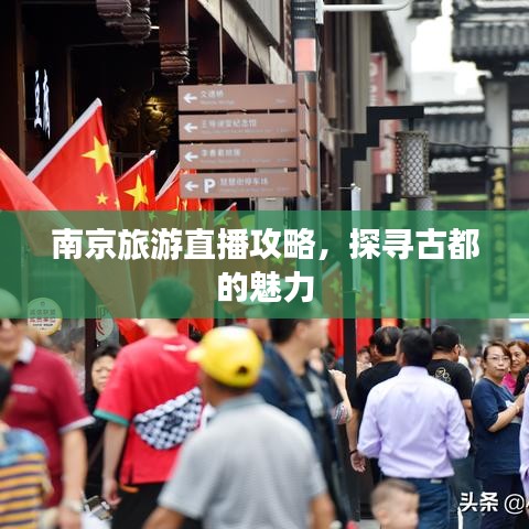 南京旅游直播攻略，探尋古都的魅力