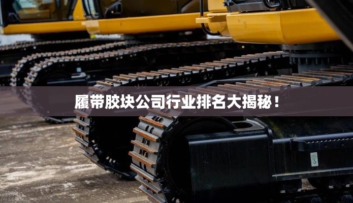 履帶膠塊公司行業(yè)排名大揭秘！