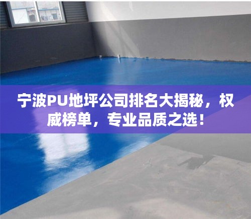 寧波PU地坪公司排名大揭秘，權(quán)威榜單，專業(yè)品質(zhì)之選！