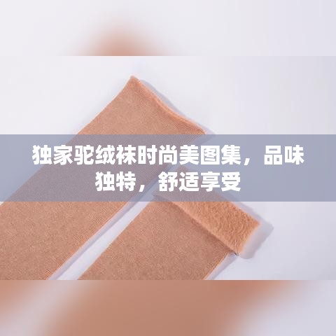 獨(dú)家駝絨襪時(shí)尚美圖集，品味獨(dú)特，舒適享受