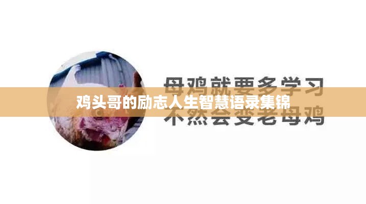雞頭哥的勵(lì)志人生智慧語(yǔ)錄集錦