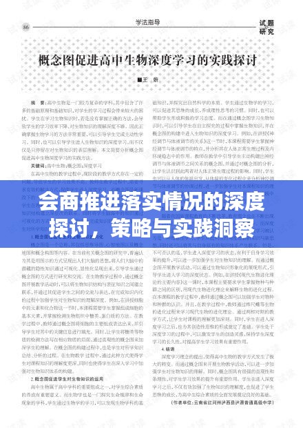 會(huì)商推進(jìn)落實(shí)情況的深度探討，策略與實(shí)踐洞察