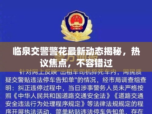 臨泉交警警花最新動態(tài)揭秘，熱議焦點，不容錯過