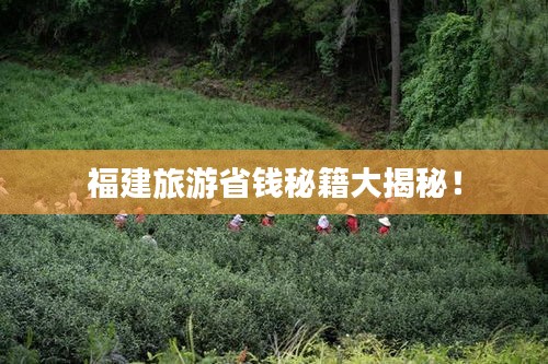 福建旅游省錢秘籍大揭秘！
