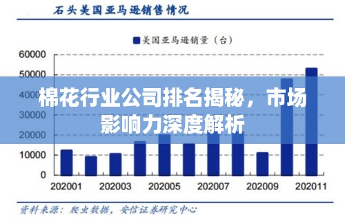 棉花行業(yè)公司排名揭秘，市場影響力深度解析