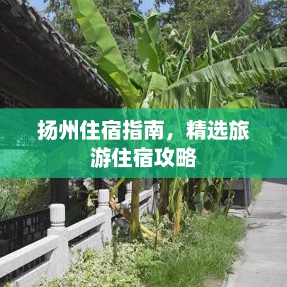 揚州住宿指南，精選旅游住宿攻略