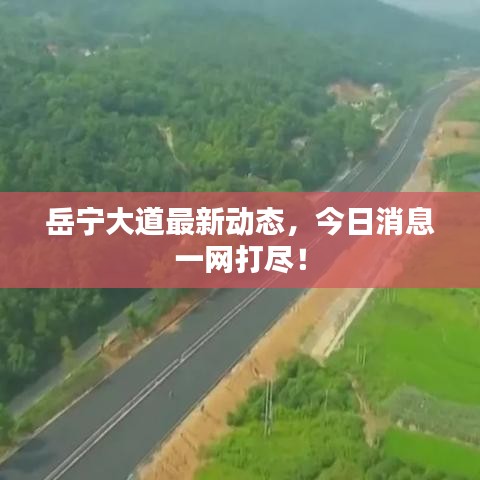 風(fēng)流倜儻 第2頁