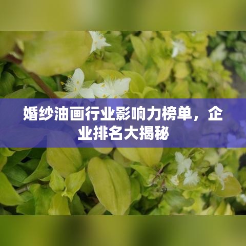 婚紗油畫行業(yè)影響力榜單，企業(yè)排名大揭秘