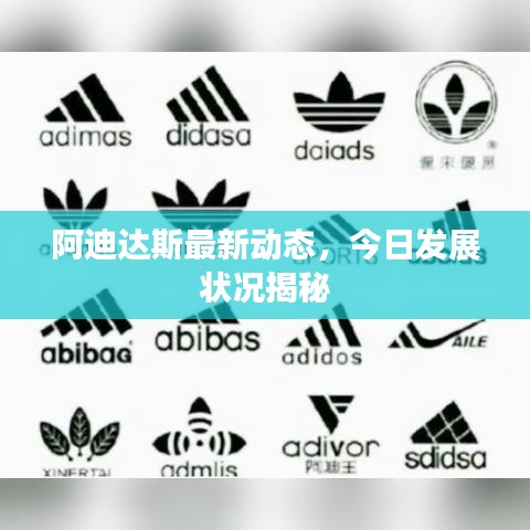 阿迪達(dá)斯最新動態(tài)，今日發(fā)展?fàn)顩r揭秘