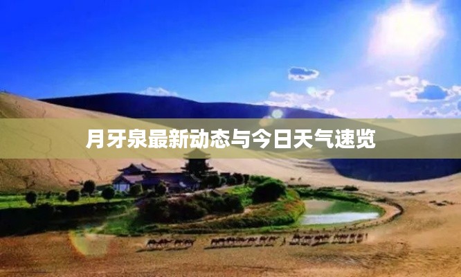 天羅地網(wǎng) 第2頁(yè)