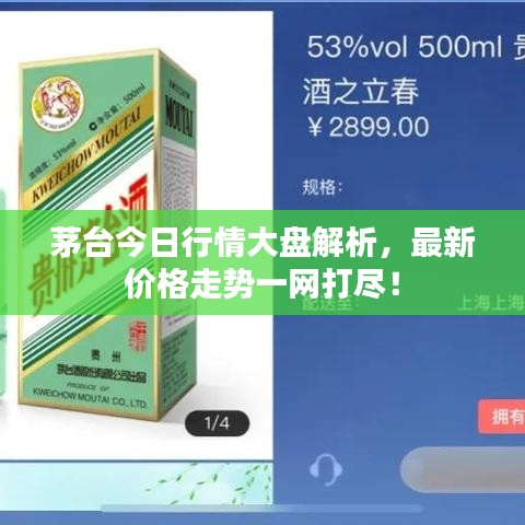 茅臺今日行情大盤解析，最新價格走勢一網(wǎng)打盡！