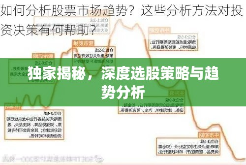 獨(dú)家揭秘，深度選股策略與趨勢(shì)分析