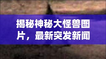 揭秘神秘大怪獸圖片，最新突發(fā)新聞曝光！