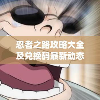 忍者之路攻略大全及兌換碼最新動態(tài)