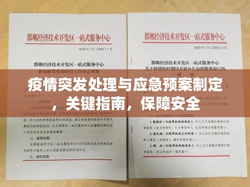 疫情突發(fā)處理與應(yīng)急預(yù)案制定，關(guān)鍵指南，保障安全
