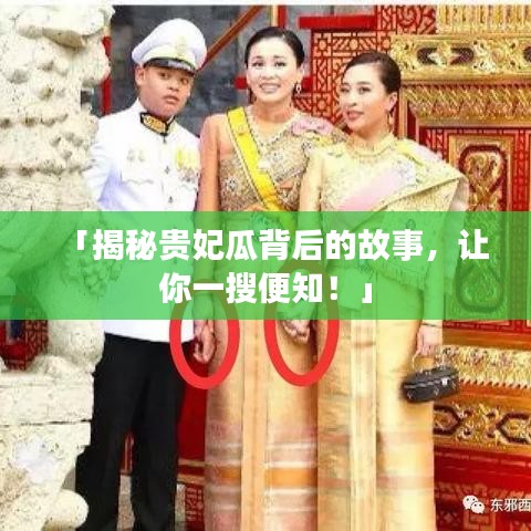 「揭秘貴妃瓜背后的故事，讓你一搜便知！」