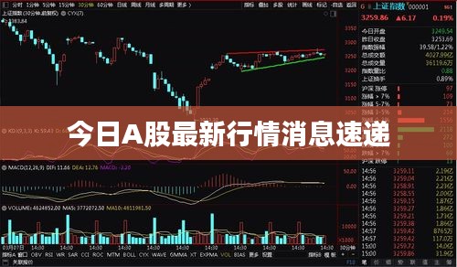 今日A股最新行情消息速遞