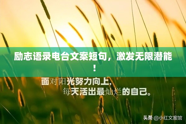 勵(lì)志語(yǔ)錄電臺(tái)文案短句，激發(fā)無(wú)限潛能！
