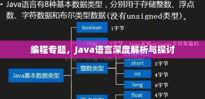編程專題，Java語言深度解析與探討