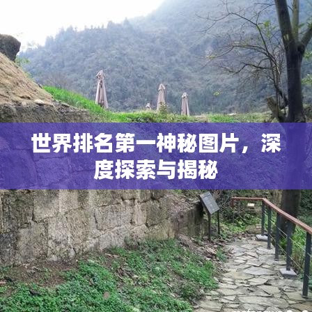 世界排名第一神秘圖片，深度探索與揭秘