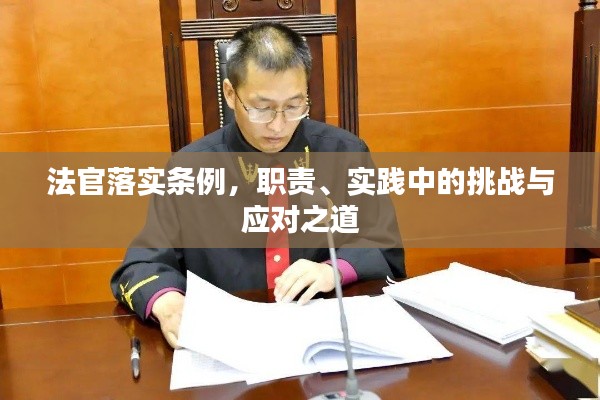 法官落實(shí)條例，職責(zé)、實(shí)踐中的挑戰(zhàn)與應(yīng)對(duì)之道