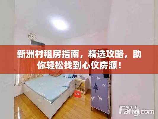 新洲村租房指南，精選攻略，助你輕松找到心儀房源！